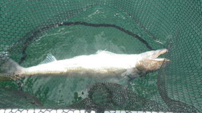 20140802_007.jpg