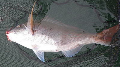 20140824_002.jpg