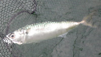 20140824_003.jpg