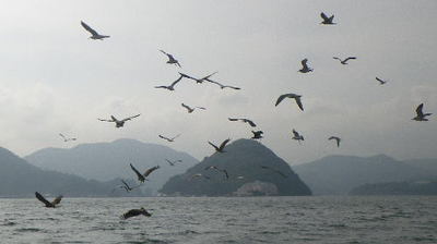 20141011_001.jpg