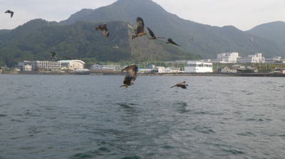 20141011_002.jpg