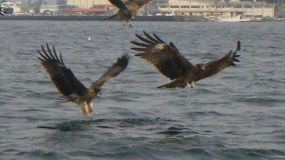 20141011_004.jpg