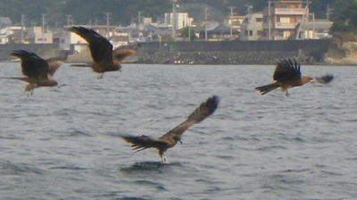 20141011_005.jpg