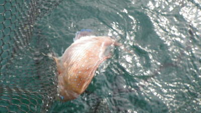 20141011_007.jpg
