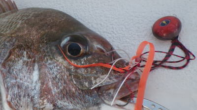 20150530_002.jpg
