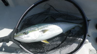 20150530_004.jpg