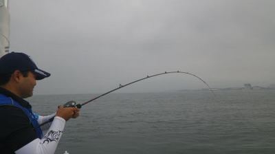 20150711_004.jpg