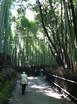 嵐山竹林2