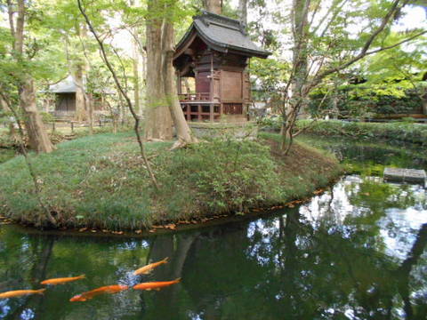 平林寺放生池