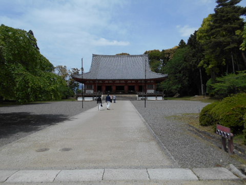 醍醐寺(金堂)