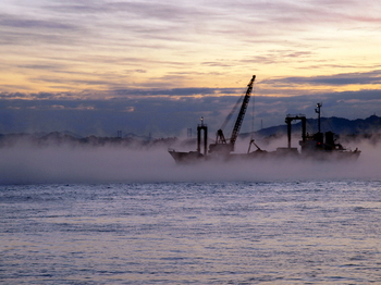 海霧と作業船