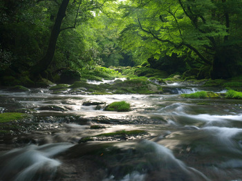 広河原にて