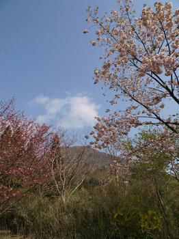 鶴見岳登山口