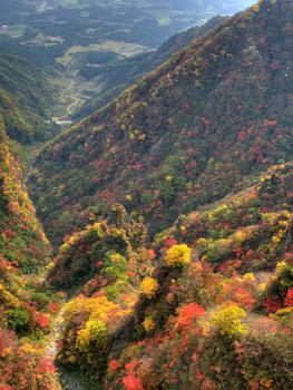 地獄谷の紅葉