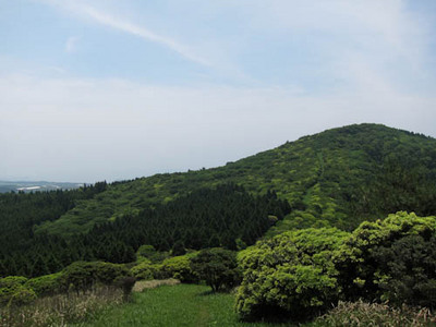 ツームシ山