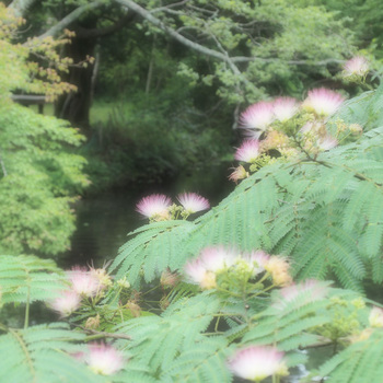 湯布院