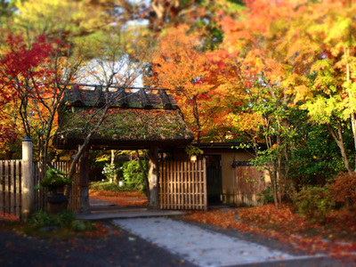 亀の井別荘