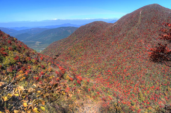 黒岳とセリ谷の紅葉