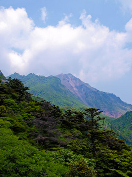 仁田峠より