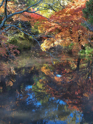 亀の井別荘