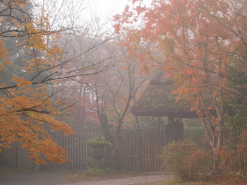 亀の井別荘の紅葉１