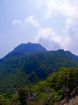 普賢岳と平成新山