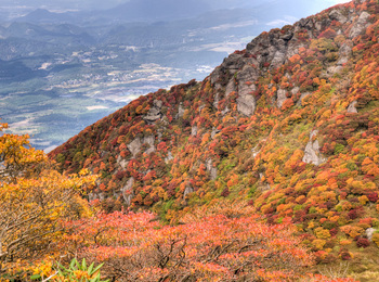 北峰尾根