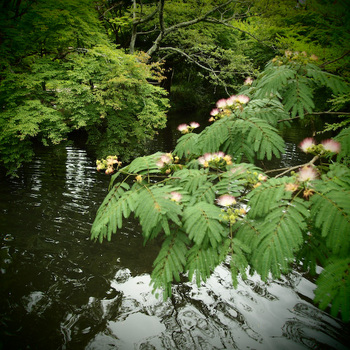 湯布院