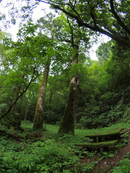 広河原にて ( Fisheye )