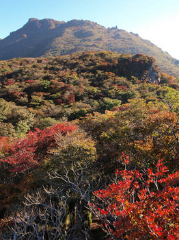 展望岩より大船山をのぞむ