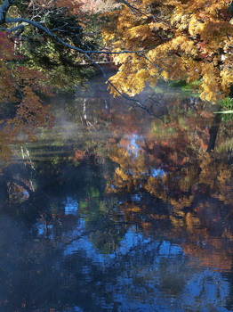 金鱗湖の紅葉