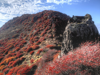 西日で燃え上がる北峰の紅葉