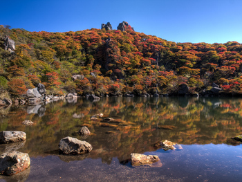 御池の紅葉（午前）