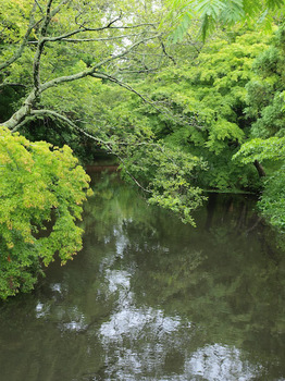 梅雨の湯布院