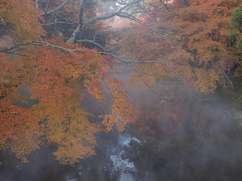 金鱗湖の紅葉