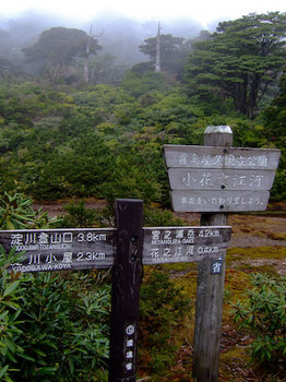 小花之江河