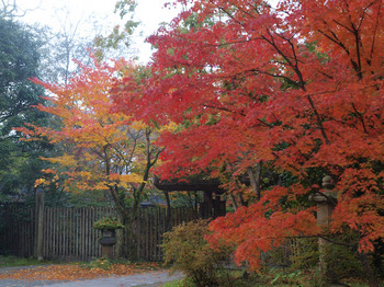 亀の井別荘