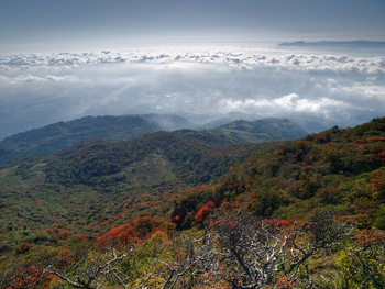 鳥居窪を見下ろ