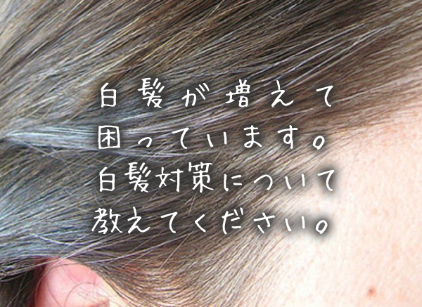 白髪が増えて困っています。白髪対策について教えてください。.jpg