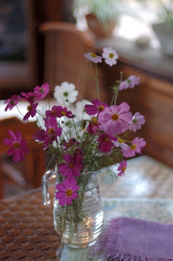 20101001_011.JPG