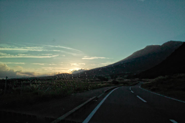 【くじゅう連山】牛ときどき鶏、そして馬、時として猪、たまに鹿。