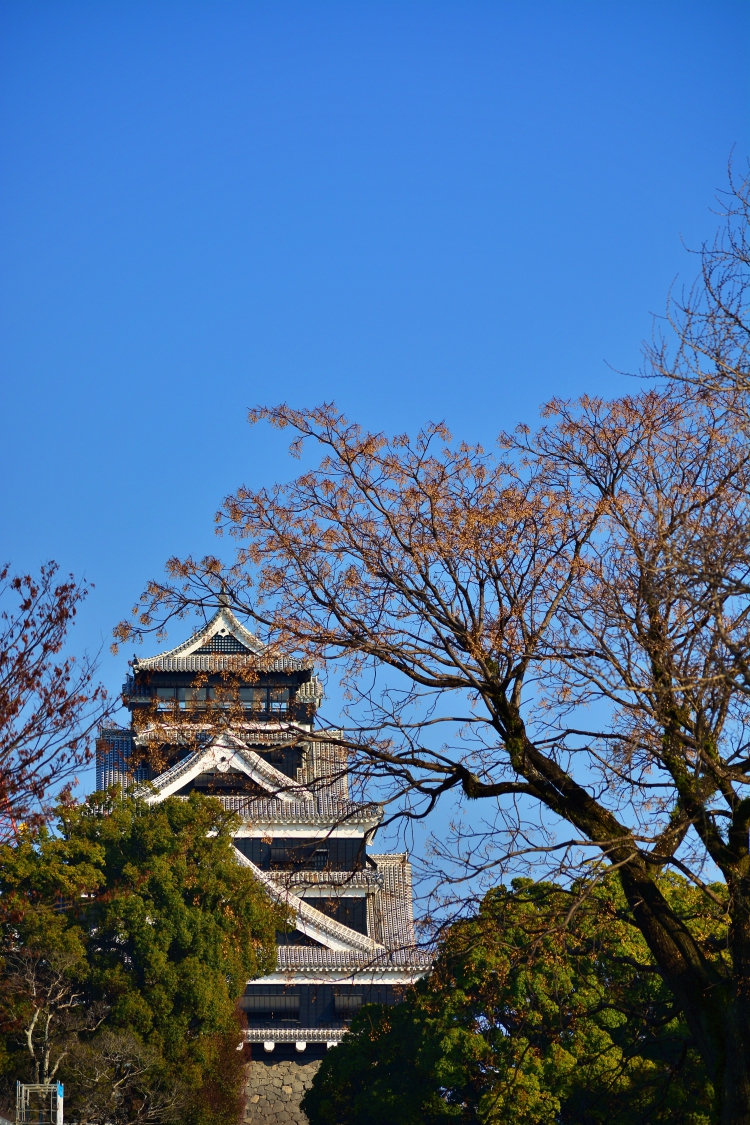 新春の熊本城