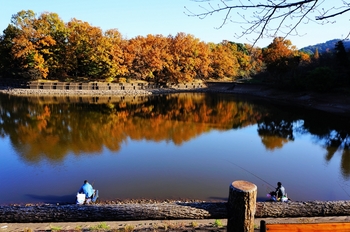 立岡自然公園　紅葉と釣り人
