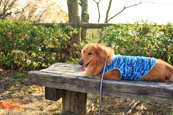 御立岬公園　ダックスそら