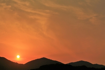 あんずの丘　夕陽