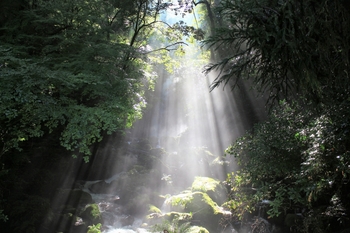 白糸の滝　光のカーテン