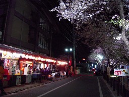 夜桜 003.jpg