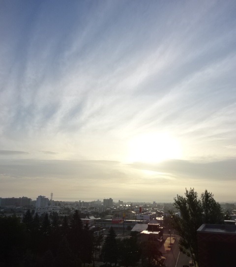 hana blog