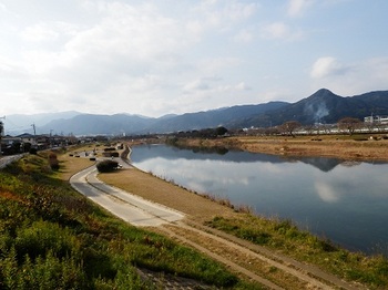 今日の室見川2012年1月29日.jpg