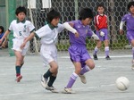 090405すみれ911.jpg